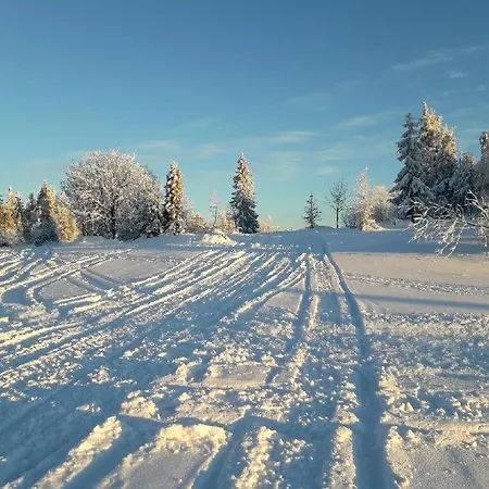 Ozna Ploscyna Chalet Rajcza