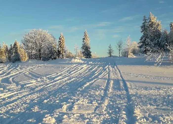Ozna Ploscyna Horská chata Rajcza