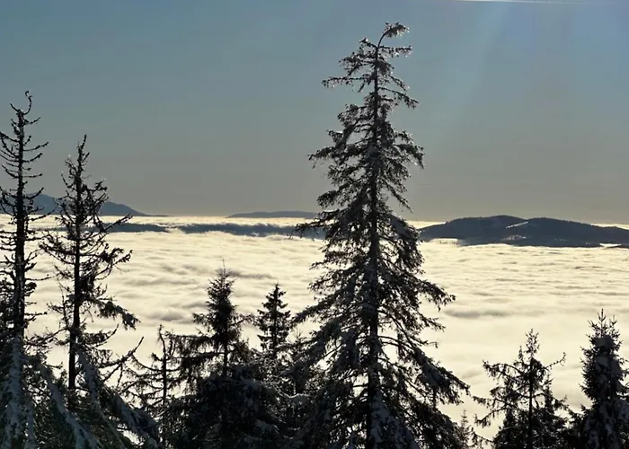 Chalet Ozna Ploscyna Rajcza